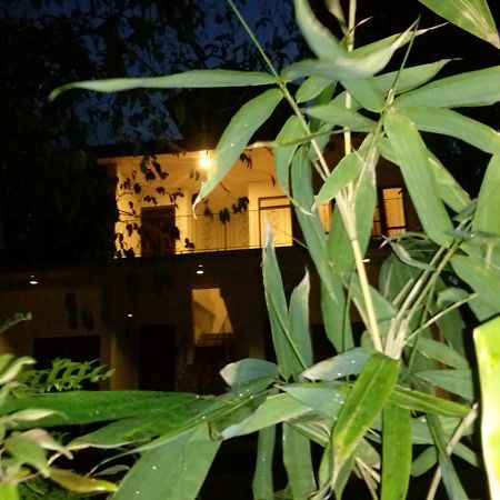 Green Earth Resort And Restaurant ダンブッラ エクステリア 写真
