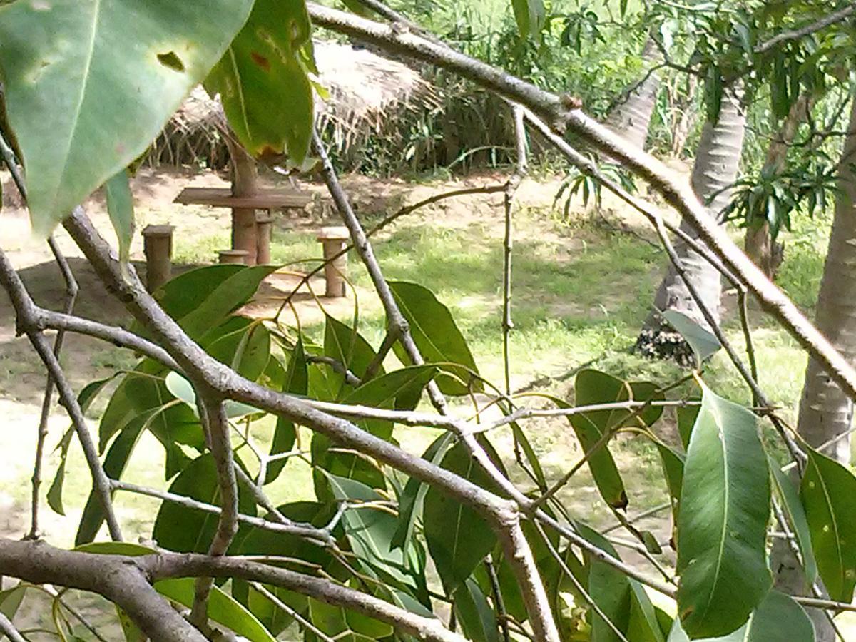 Green Earth Resort And Restaurant ダンブッラ エクステリア 写真